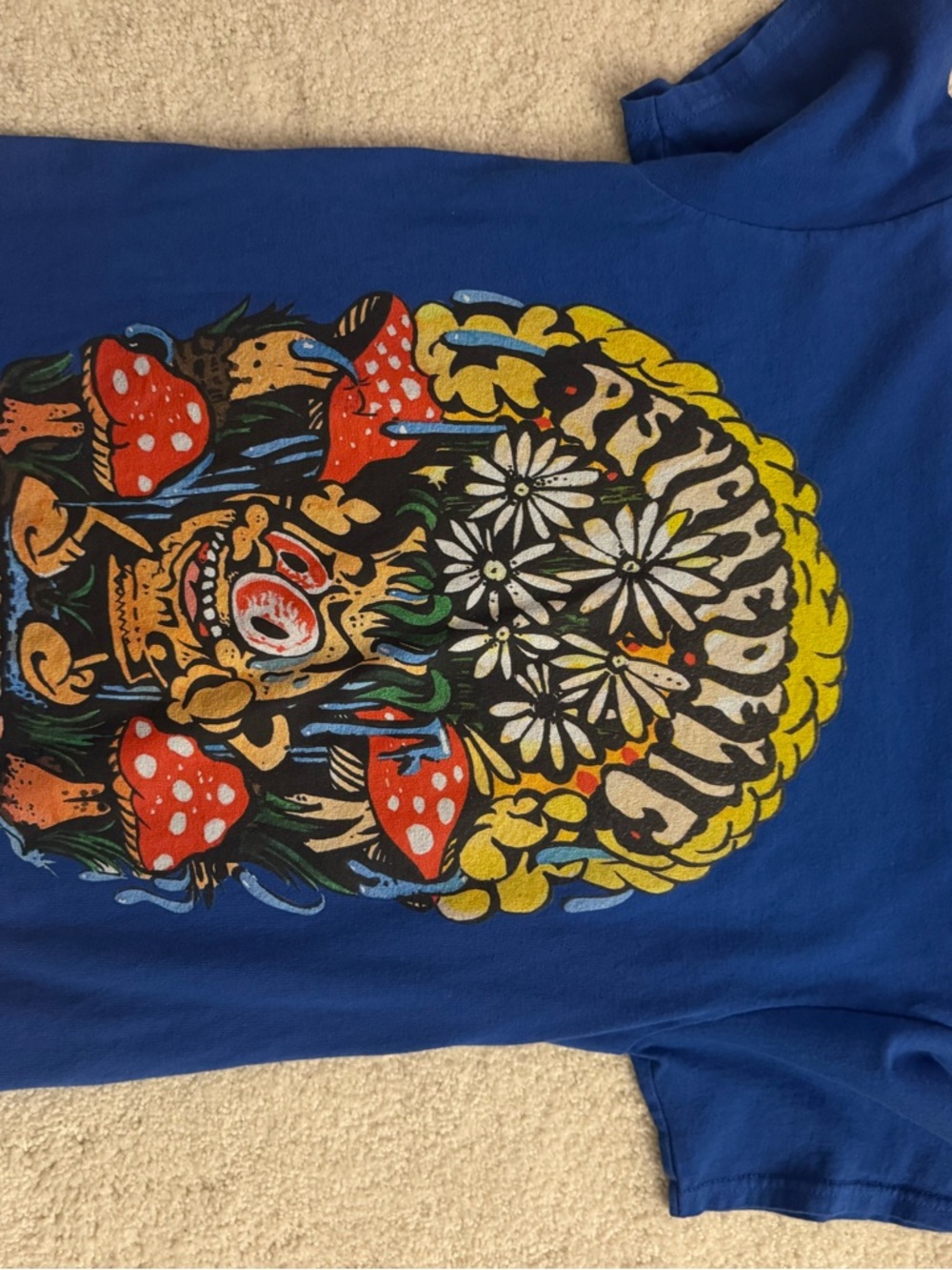 Graphic Blue Short Sleeve Tee with Colorful Floral Skull Print